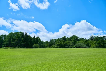Tuinposter 芝生と新緑と青空の広がる風景 © Yama