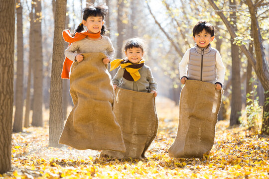 Three children having a sack race in autumn woods