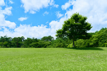 芝生と新緑と青空の広がる風景