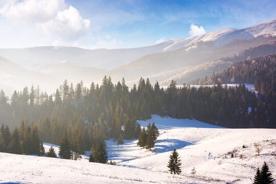 winter scenery of mountainous carpathian countryside. landscape with forested snow covered hills beneath a blue sky with fluffy clouds. hazy atmosphere on a sunny day
