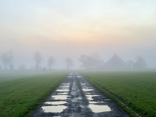 Wet country dirt road at sunrise with silhouette of tree and farm in fog
