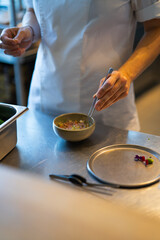 chef plating food in plate while working in commercial kitchen
