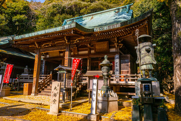 銀杏に包まれた寺社