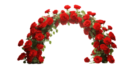 Red rose flowers and leaves in a arch composition isolated on transparent background