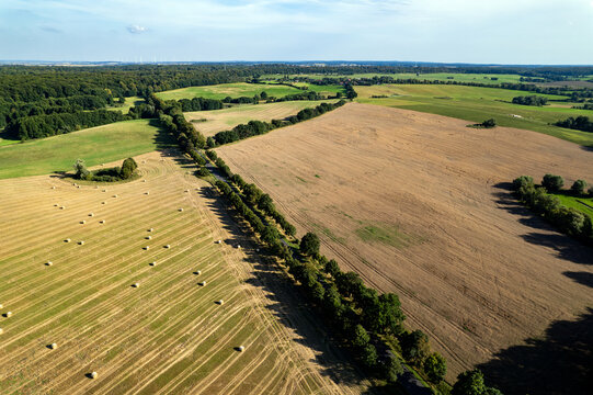 Feld nach der Ernte 9