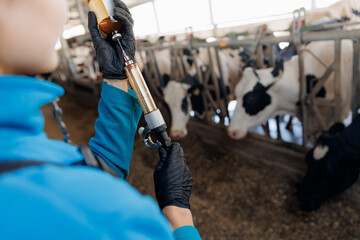 Woman veterinarian holding syringe with vaccine on background of dairy cow in cowshed. Concept vet...