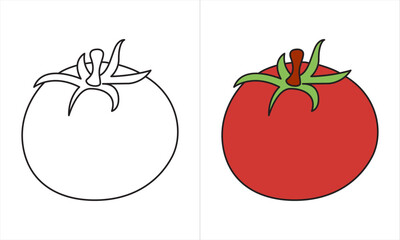 Tomato isolate. Tomato on white background. Tomatoes top view, side view.