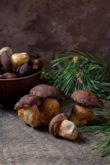 Imleria Badia or Boletus badius mushrooms commonly known as the bay bolete and clay bowl with mushrooms on vintage wooden background..