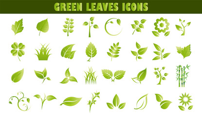 Green leaves icons. Leaves icon on isolated background.