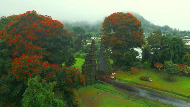 Mystical Handara gate and trees with red flowers and woman with red dress in Bali, Indonesia. Cinematic place. Aerial drone view.