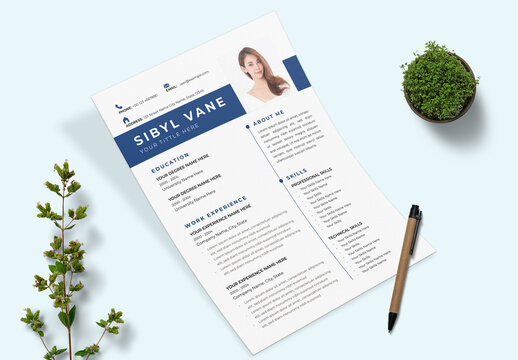 Professional Resume CV Template Layout