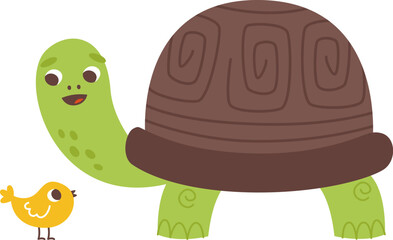 Turtle And Bird