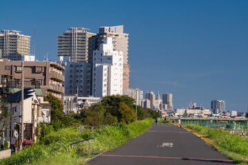 多摩川河川敷とマンションの風景　Scenery of Tama River riverbed and apartment building