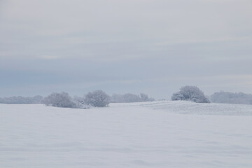 Misty fairy tale snow landscape so beautiful