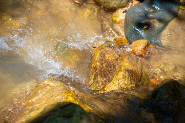 Experience the tranquil beauty of a mountain stream. Discover peace and solace in the embrace of...
