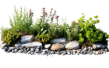 Natural Storm Water Management Bio Swale on White or PNG Transparent Background.