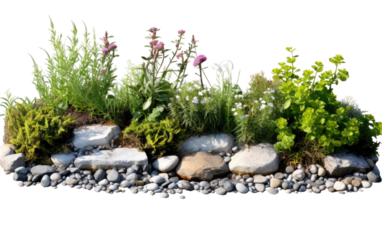 Natural Storm Water Management Bio Swale on White or PNG Transparent Background.