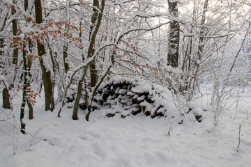Snow covered firewood stack in the forest