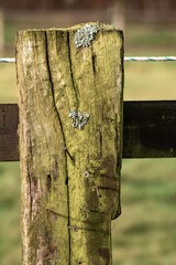 part of a wooden fence