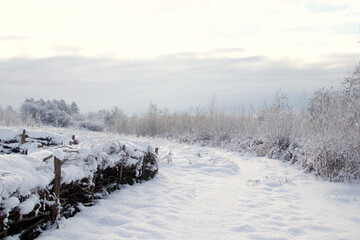 Willow fence with snow by the lake so beautiful