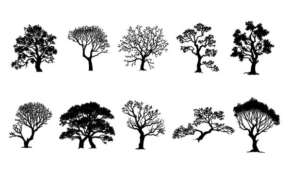A collection of different sizes of tree silhouettes on a transparent background