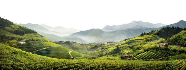 Zelfklevend Fotobehang Vineyards among majestic green hills and mountains, panoramic view, cut out © Yeti Studio