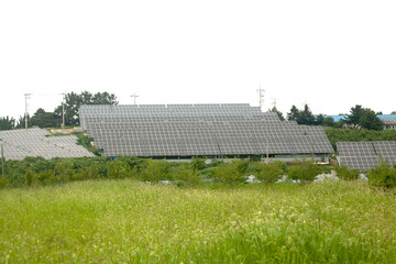 solar panels on a farm