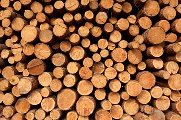 Möbelaufkleber stack of wood © ccarax