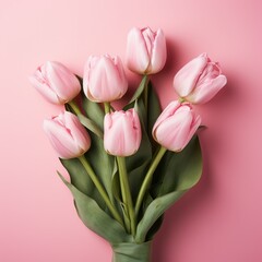 8 march is a pink background with a pink tulip