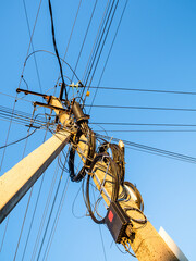 bottom view of concrete power line pole with lot of wires lit by sun in village and blue sky on background at autumn sunset - obrazy, fototapety, plakaty