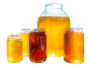 different kinds of honey in various glass jars cut out on white background
