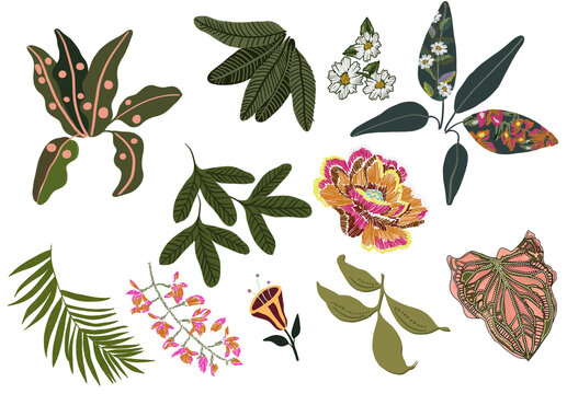 tropical embroidery digital illustration leaves and flowers summer 2024