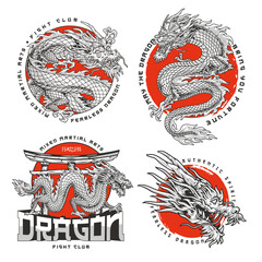 MMA dragon set flyer colorful