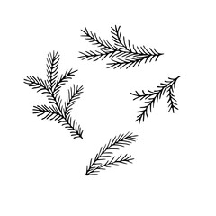 Naklejka premium Vector hand-drawn black and white illustration of Christmas tree branches. Doodle Christmas tree branches on a white background.