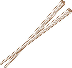 Hand Drawn Illustration Of Chopstick