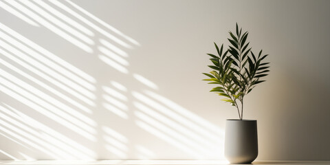 Light summer beige background with a vase and a green plant on the table. Bright sunlight and shadows from the foliage.