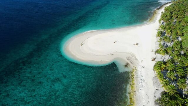 Maldives islands ocean tropical beach with palms. Aerial drone view