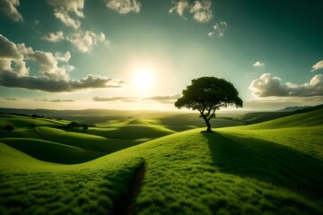 A mesmerizing vista of a green landscape, accented by a lone tree and a magnificent  arching gracefully overhead.