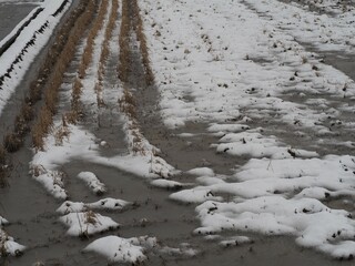 雪景色　冬の田んぼ