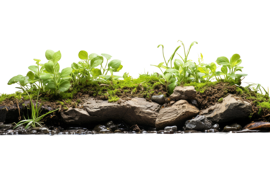 Bio Swale Basic Basin Useful for Storm Water Man on White or PNG Transparent Background.