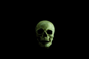 Frontal View of Skull Decoration with Copy Space on Black Background