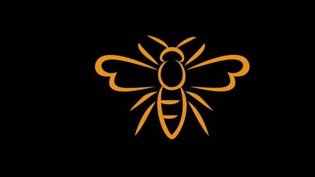 Linear bee graphic animation. Alpha channel. Line honeybee on transparent background motion design. 4K resolution