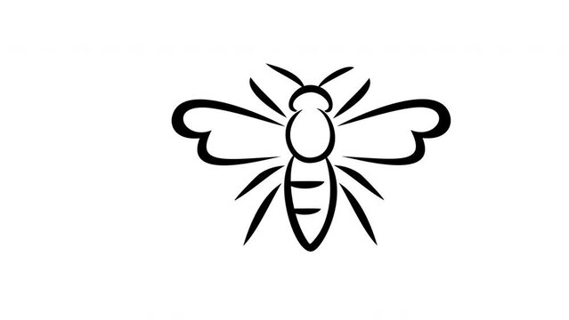 Linear bee graphic animation. Alpha channel. Line honeybee on transparent background motion design. 4K resolution