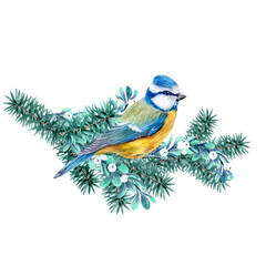 Watercolor Christmas decoration with the image of a titmouse on it. The fir paw with bird for holiday cards and seasonal cards, invitations, various decorations