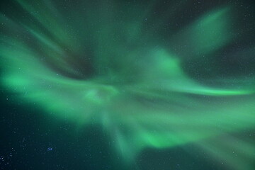 Auroras Boreales en Tromso - Noruega  - obrazy, fototapety, plakaty