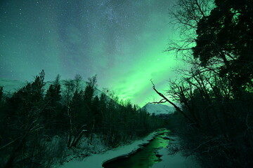 Auroras Boreales en Tromso - Noruega 
