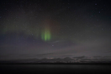 Fototapeta na wymiar Northern lights over Abisko area during December, Sweden