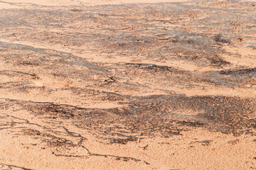 Abstract relief rough gritty neutral beige surface of background texture. Aesthetic pattern on sandstone. Top view textured sand, natural ornament or wallpaper, macro photo shore salt lake