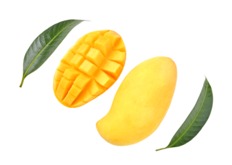 Fresh yellow mango on transparent png
