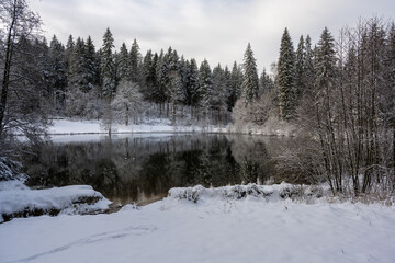 Winterlandschaft im Vogtland - der hintere Floßteich bei Erlbach